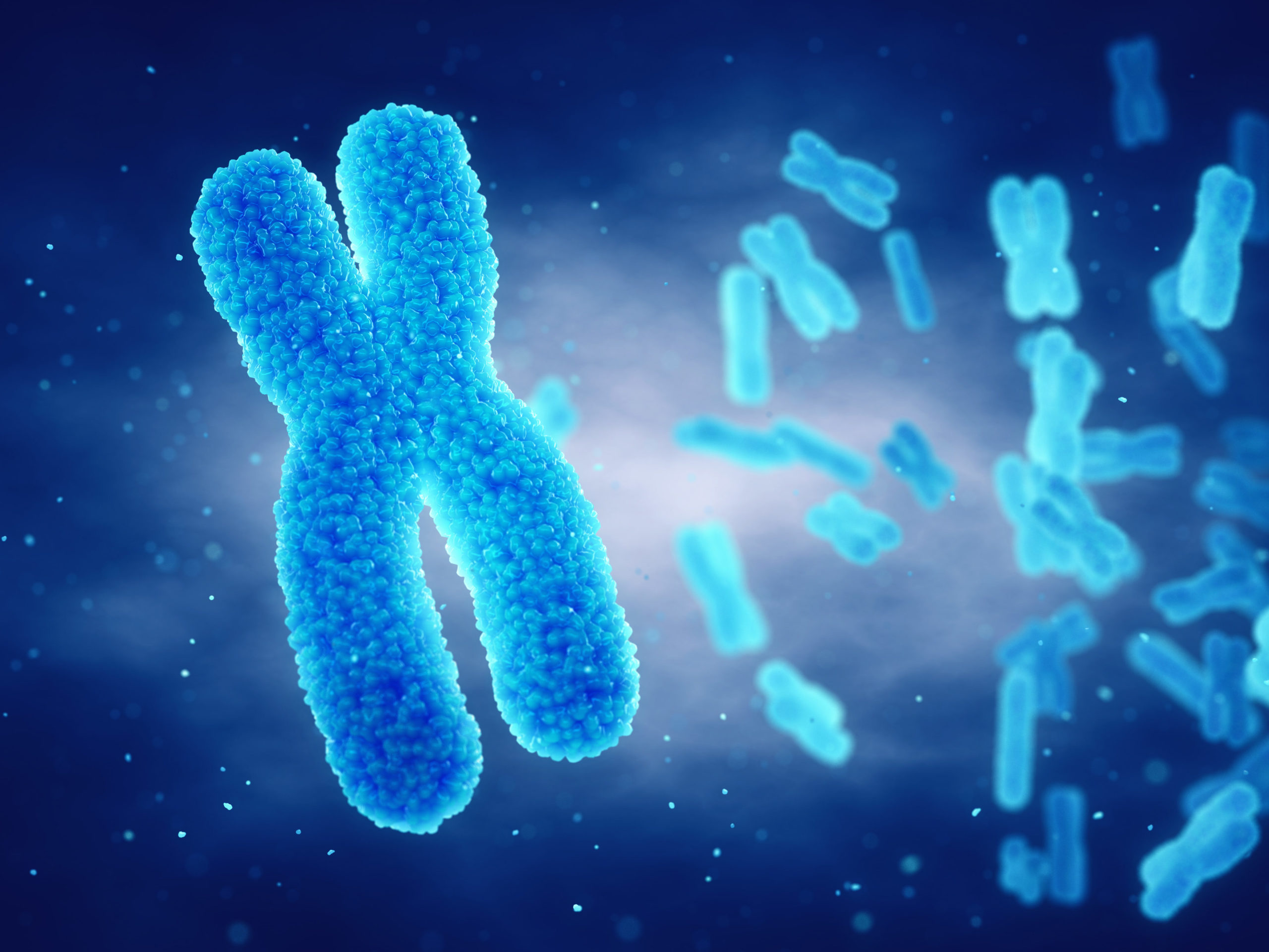 Мужская хромосома 5. Хромосомы. Синий y хромосома. DNA Phenotyping. DNA Phenotyping pictures.